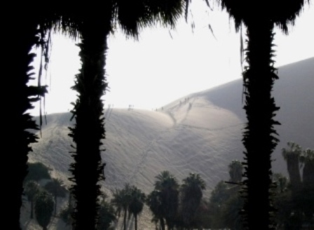 de oase van Huacachina